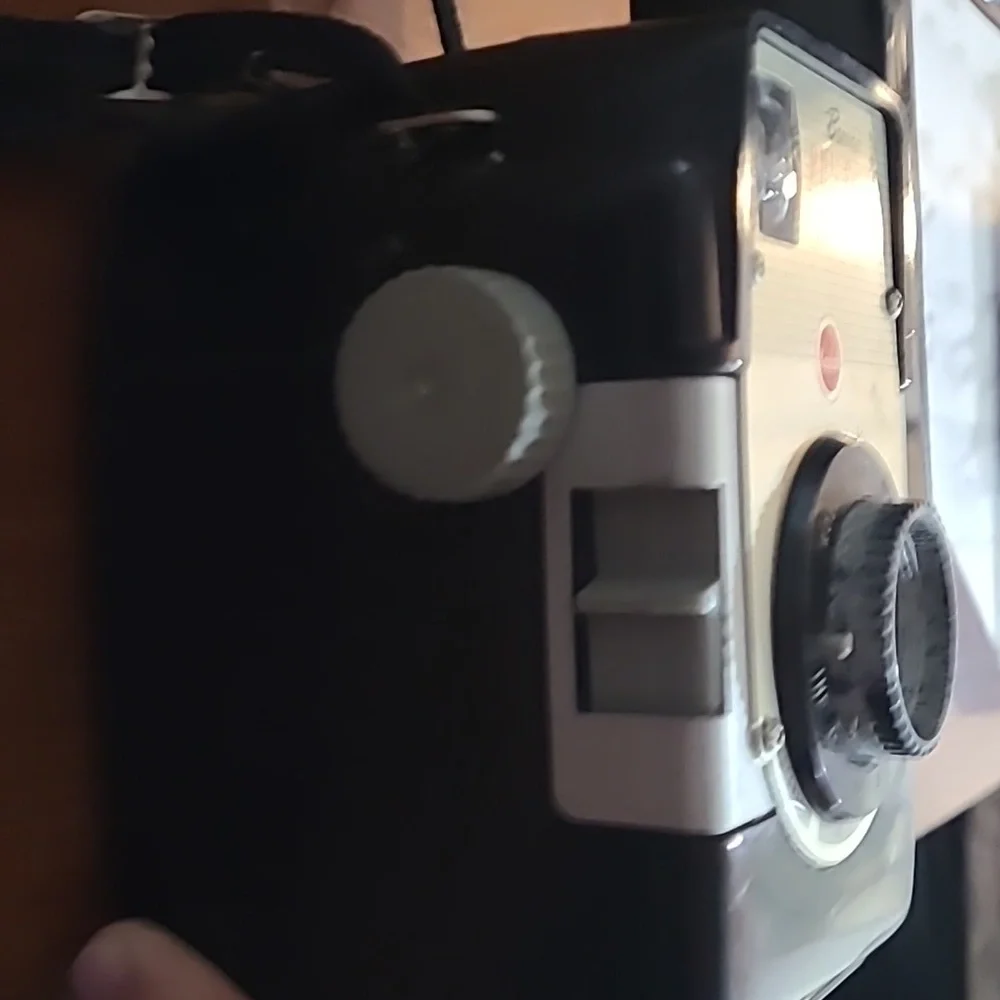 Brownie bullseye camera